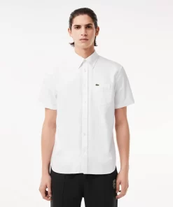 Chemise Regular Fit Oxford Manches Courtes En Coton | Lacoste Sale