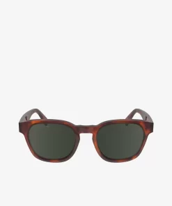 Lunettes De Soleil Ribbon Ovales En Acetate | Lacoste Flash Sale