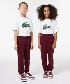 Pantalon De Survetement Jogger Avec Badge Crocodile | Lacoste Online