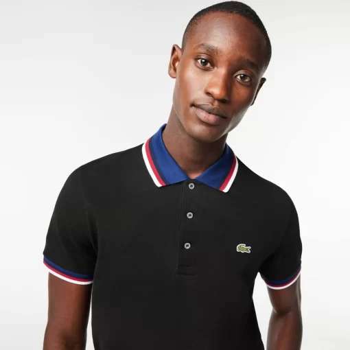 Polo Regular Fit Coton Stretch Pique Col Contraste | Lacoste Shop