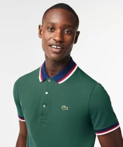 Polo Regular Fit Coton Stretch Pique Col Contraste | Lacoste Fashion