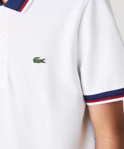 Polo Regular Fit Coton Stretch Pique Col Contraste | Lacoste Store