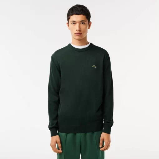 Pull A Col Rond En Coton Biologique Uni | Lacoste Store