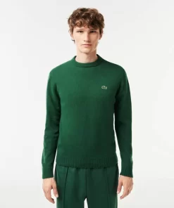 Pull A Col Rond En Laine Unie | Lacoste Flash Sale