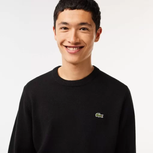 Pull A Col Rond En Laine Unie | Lacoste Cheap