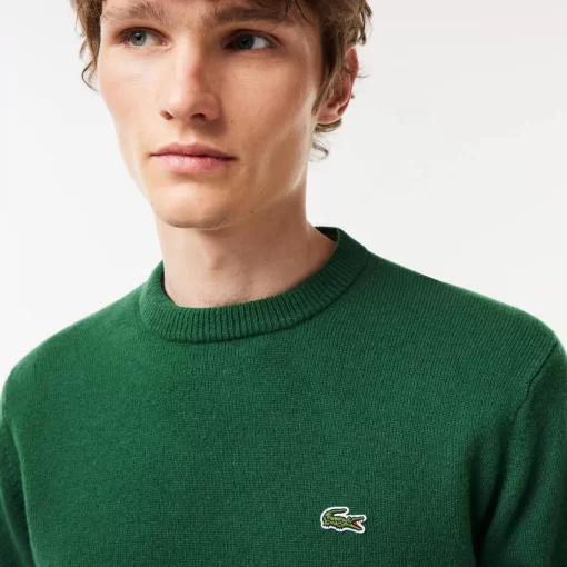 Pull A Col Rond En Laine Unie | Lacoste Flash Sale