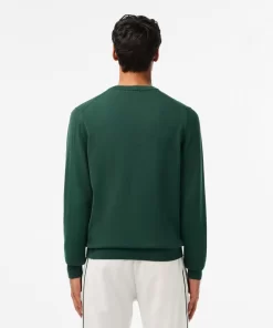 Pull A Col V En Coton Biologique Uni | Lacoste Fashion