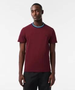 T-Shirt Avec Col Raye En Mini Pique Stretch | Lacoste Cheap