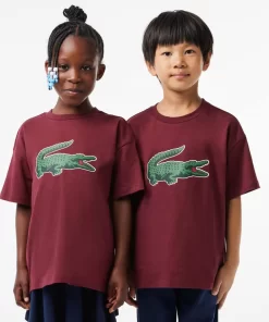 T-Shirt Avec Imprime Graphique En Coton | Lacoste Sale