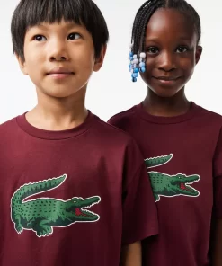 T-Shirt Avec Imprime Graphique En Coton | Lacoste Sale