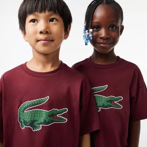 T-Shirt Avec Imprime Graphique En Coton | Lacoste Sale