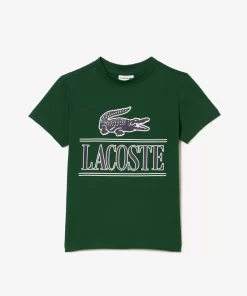 T-Shirt Avec Imprime Sigle En Jersey De Coton | Lacoste Cheap