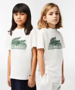 T-Shirt Enfant Avec Imprime Contraste En Coton Biologique | Lacoste Cheap