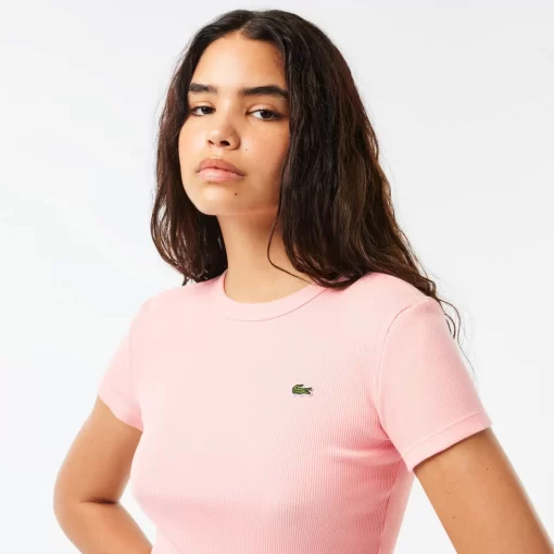 T-Shirt Femme Slim Fit En Coton Biologique | Lacoste Cheap