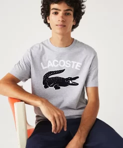 T-Shirt Homme Regular Fit Avec Imprime Crocodile Xl | Lacoste Shop