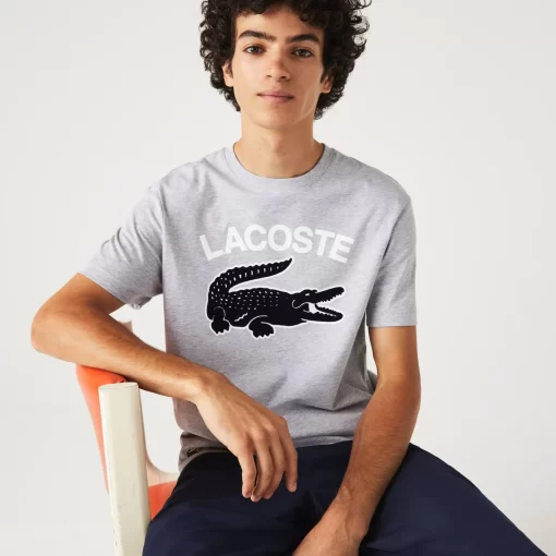 T-Shirt Homme Regular Fit Avec Imprime Crocodile Xl | Lacoste Shop