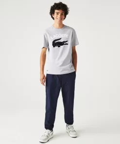 T-Shirt Homme Regular Fit Avec Imprime Crocodile Xl | Lacoste Shop