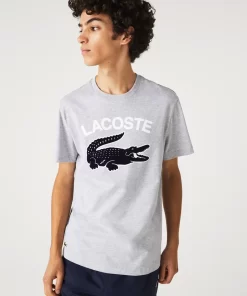 T-Shirt Homme Regular Fit Avec Imprime Crocodile Xl | Lacoste Shop