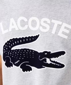 T-Shirt Homme Regular Fit Avec Imprime Crocodile Xl | Lacoste Shop