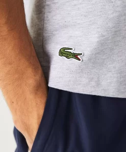 T-Shirt Homme Regular Fit Avec Imprime Crocodile Xl | Lacoste Shop