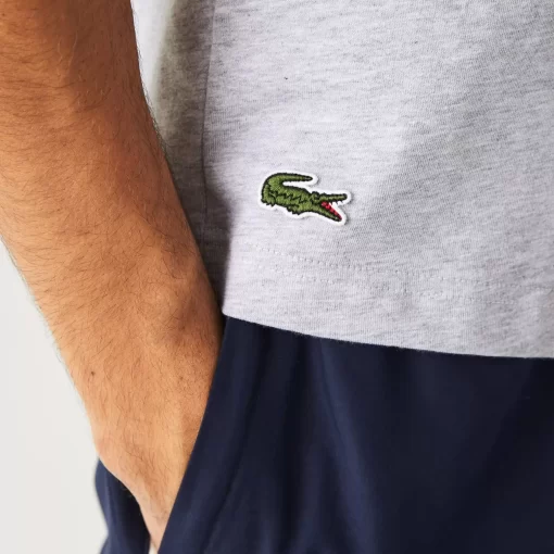 T-Shirt Homme Regular Fit Avec Imprime Crocodile Xl | Lacoste Shop