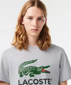 T-Shirt Imprime Signature En Jersey De Coton | Lacoste Fashion