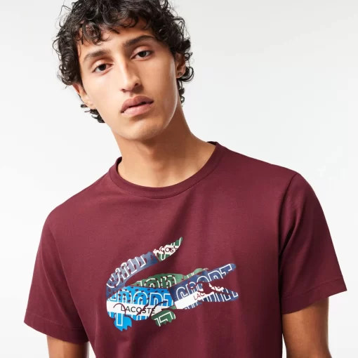 T-Shirt Sport En Jersey De Coton | Lacoste Best