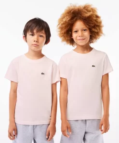 T-Shirt Uni En Jersey De Coton | Lacoste Fashion